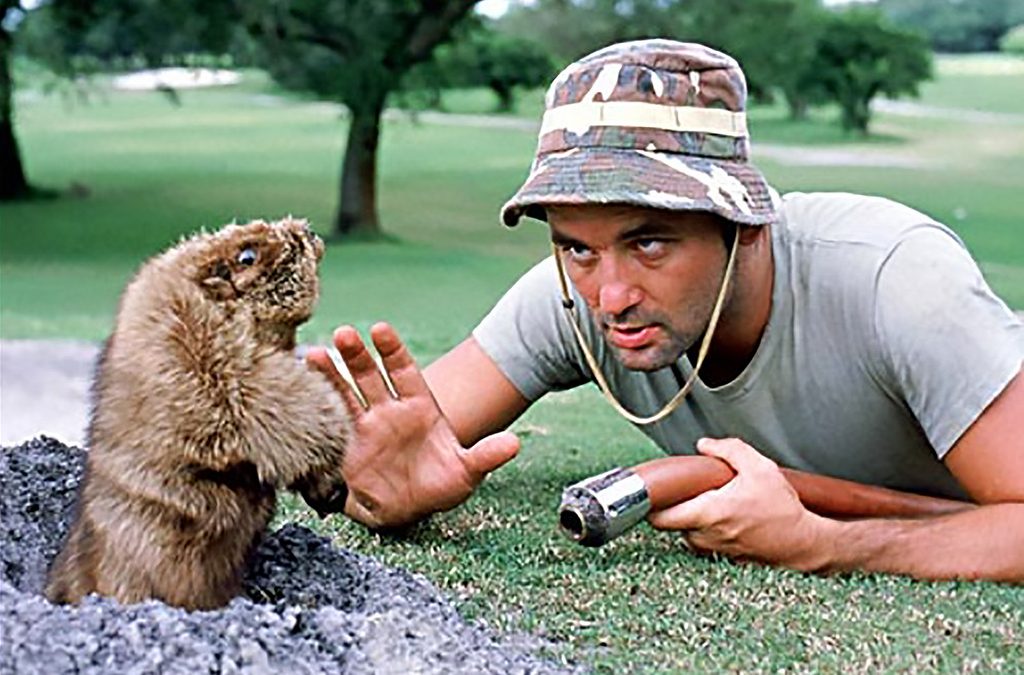 The best movies about golf